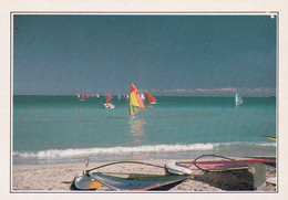 A20339 - WINDSURFING IN MIAMI WINDSURF USA UNITED STATES OF AMERICA - Miami