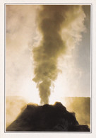 A20341 - YELLOWSTONE NATIONAL PARK CASTLE GEYSER LE GEYSER CASTLE USA UNITED STATES OF AMERICA - Yellowstone