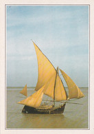 A20346 - SAILING BOAT ON THE DELTA OF THE GANGES BATEAU A VOILES SUR LE DELTA DU GANGE BANGLADESH - Bangladesh