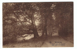 Westerlo  Westerloo  Dreef Nabij Het Kasteel  Allée Près Du Château 1914 - Westerlo