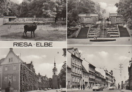 D-01589 Riesa - Elbe - Alte Ansichten - Großenhainer Straße - Rathaus - Tierpark - 2x Nice Stamps - Riesa