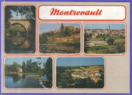 Carte Postale 49. Montrevault   Très Beau Plan - Montrevault