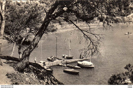 LA SEYNE-SUR-MER  Fabrégas - La Seyne-sur-Mer