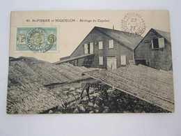 ILES SAINT PIERRE ET MIQUELON - SECHAGE DU CAPELAN 1923 CPA 2 SCANS 3 Timbres - Saint-Pierre-et-Miquelon