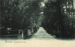 Bermuda, HAMILTON, Springfield Avenue (1900s) Postcard - Bermuda