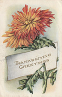 Thanksgiving Greetings - Giorno Del Ringraziamento