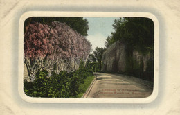 Bermuda, Entrance To Mt. Langton, Governors Residence (1910s) Embossed Postcard - Bermuda