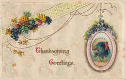 Thanksgiving Greetings - Giorno Del Ringraziamento