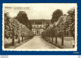 Huizingen / Beersel - Het Kasteel En De Dreef - Le Château Et La Drève - Beersel