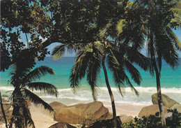 Cape Tribulation, Cairns - Australia - Unused Postcard - - Cairns