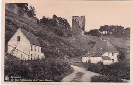 LE TOUR SALAMANDREET LE VIEUX MOULIN - Beaumont