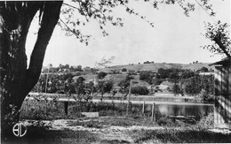 SAINT-CHEF (Isère) - L'étang D'Arcisse - Saint-Chef