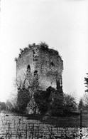 SAINT-CHEF (Isère) - La Tour Du Poulet - Saint-Chef