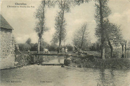 Charolles - L'arconce Au Moulin Des Prés - Passerelle - Charolles