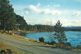 CPSM Loch Garten,Strathspey       L1856 - Inverness-shire