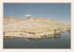 A20474 - L'HINDU KUCH ET LA MOSQUEE D'ALI AFGHANISTAN MOSQUE - Afghanistan