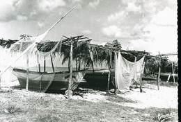 GUADELOUPS           CP 161 - Autres & Non Classés