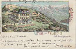 GRUSS  VOM  WILDSPITZ    - C  P  A  ( 22 / 10 / 249  ) - Souvenir De...