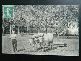 ENVIRONS DE MEULA AUBERGENVILLE                              AUX CHAMPS - Aubergenville