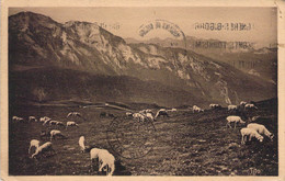 CPA - Elevage - MOUTONS AU PATURAGE - Les Beaux Paysages De France - Les Pyrénées - Le Col D'Aubisque - Veeteelt