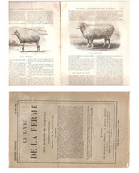 LE LIVRE DE LA FERME_12° FASC._P. JOIGNEAUX_PARIS 1884_OVINES - Encyclopedieën