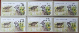 Israel 2015 Birds Labels - Nuovi (senza Tab)