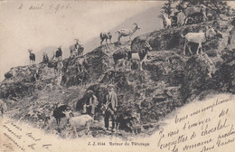 B8859) RETOUR Du PATURAGE - Mann Ziegen - Etc. Am Berg OLD !! Gel. PASSY 1906 - Elevage