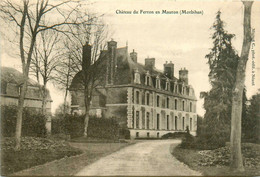 Mauron * Le Château Du Ferron - Andere & Zonder Classificatie