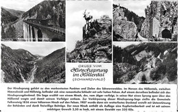 Gruss Vom Hirschsprung Im Höllental - Höllental