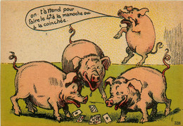 Cochon * Animaux * Cpa Illustrateur * Cochons Humanisés Jouant Aux Cartes , à La Belotte * Pig - Schweine