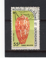 NOUVELLE-CALEDONIE - Y&T N° 498° - Faune - Coquillage - Used Stamps