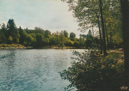 Sautin - Hostellerie Du Château-d'Oyen  - L'étang - Sivry-Rance