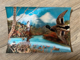 Carte 3D * CPA à Système * CP * Canards Duck - Móviles (animadas)