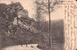 Hastière Vallée De La Meuse Rocher Des Deux Têtes Animée (1903) - Hastière