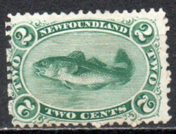 TERRE-NUEVE 1866-71 SANS GOMME - 1857-1861