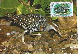 Cocos Island & Maximum Card,  WWF Buff-Banded Rail, Gallirallus Philippensis Andrewsi 1992 (79977) - Cocos (Keeling) Islands