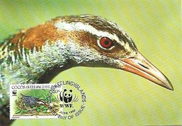 Cocos Island & Maximum Card,  WWF Buff-Banded Rail, Gallirallus Philippensis Andrewsi 1992 (7913337) - Islas Cocos (Keeling)