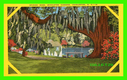 CHARLESTON, SC - SPANISH MOSS, MIDDLETON GARDENS - WRITTEN IN 1950 -  PUB. BY MARTSCHINK SALES CO - - Charleston