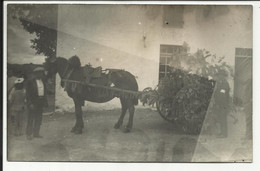 Char Décoré Pour Une Fête De Village , Carte Photo Non Localisé - Carnaval