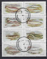 Nagaland -  Deelstaat Van India    Vissen  (O) - Blocks & Sheetlets