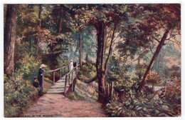 COLWYN BAY In The Woods - Tuck Oilette 7419 - Denbighshire