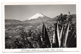 Ecuador - El Catopaxi, 6010 Mts - Equateur