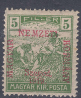 Hungary Szegedin Szeged 1919 Mi#8 Mint Hinged - Szeged