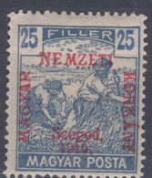 Hungary Szegedin Szeged 1919 Mi#12 Mint Hinged - Szeged