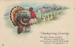 Thanksgiving Greetings  The Table Is Loaded With Goodies  The House Is Brimful Of Cheer,  I've Just .  .  .  .  .  . - Giorno Del Ringraziamento