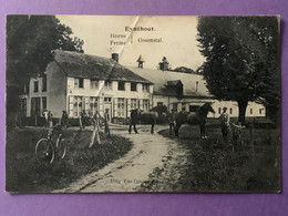 Belgique       EYNTHOUT      Hoevre   Ferme     Ossental     Plan Animé, Chevaux….   Bon état (pli En Biais) - Laakdal