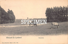 Panorama - Woluwe-St-Lambert - St-Lambrechts-Woluwe - Woluwe-St-Lambert