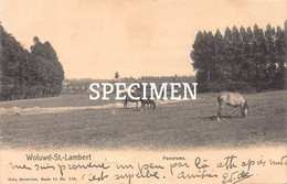 Panorama - Woluwe-St-Lambert - Woluwe-St-Lambert - St-Lambrechts-Woluwe