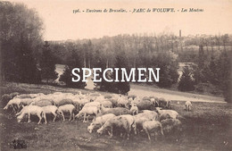 Parc Les Moutons - Woluwe - Woluwe-St-Pierre - St-Pieters-Woluwe