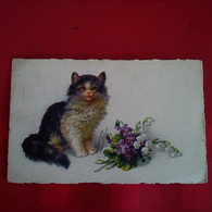 CHAT FLEURS - Katzen